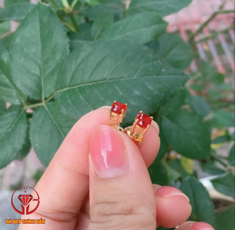 BÔNG TAI RUBY